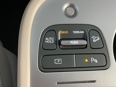 2026 Hyundai IONIQ 9 Performance Calligraphy