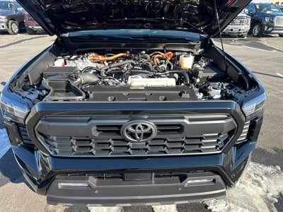 2025 Toyota TACOMA TRD SPORT TRD Sport