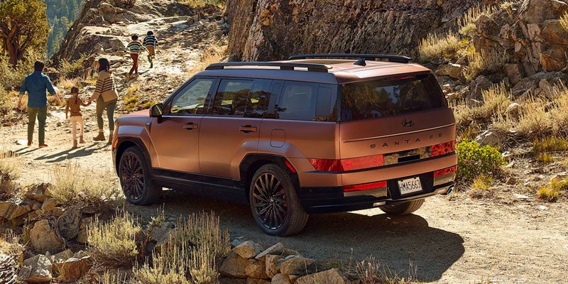 Hyundai Santa Fe brown